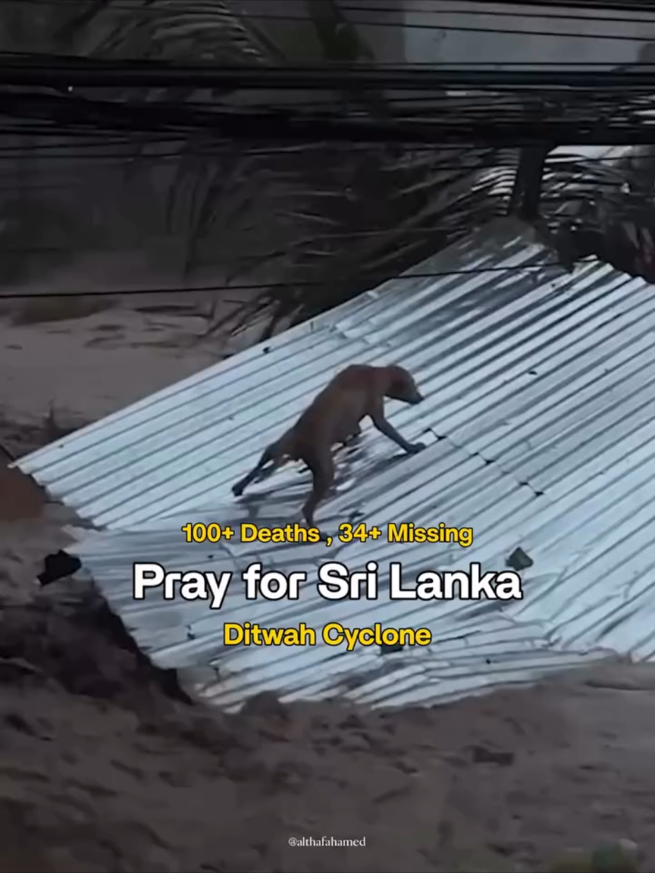 🇱🇰🌧️🌊🚨Please God, protect my motherland. Save my people from this flood. Give them strength, safety, and peace. 🙏🏻💔🥹 #mothercountry 🇱🇰 #srilanka #flood #💔🥹🇱🇰 #ceylon 