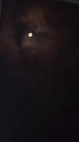 ما له دعا پرينږدي چي ورک به شمه پلاره#پدرمادر#mother #father#viral #firyoupage #viralvideo #viraltiktok #viralvideo #unfrezzmyaccount