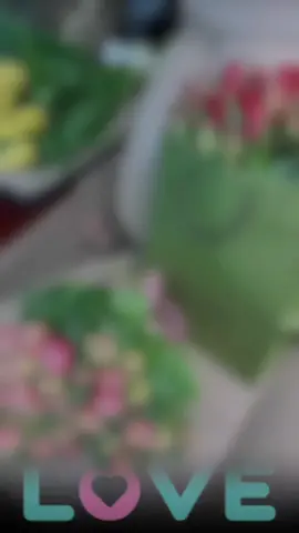 #مساء_الحب_والسعاده 