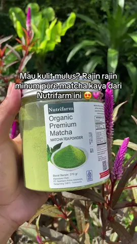 #matchapowder #matcha #matchalover #jerawat #bruntusan 