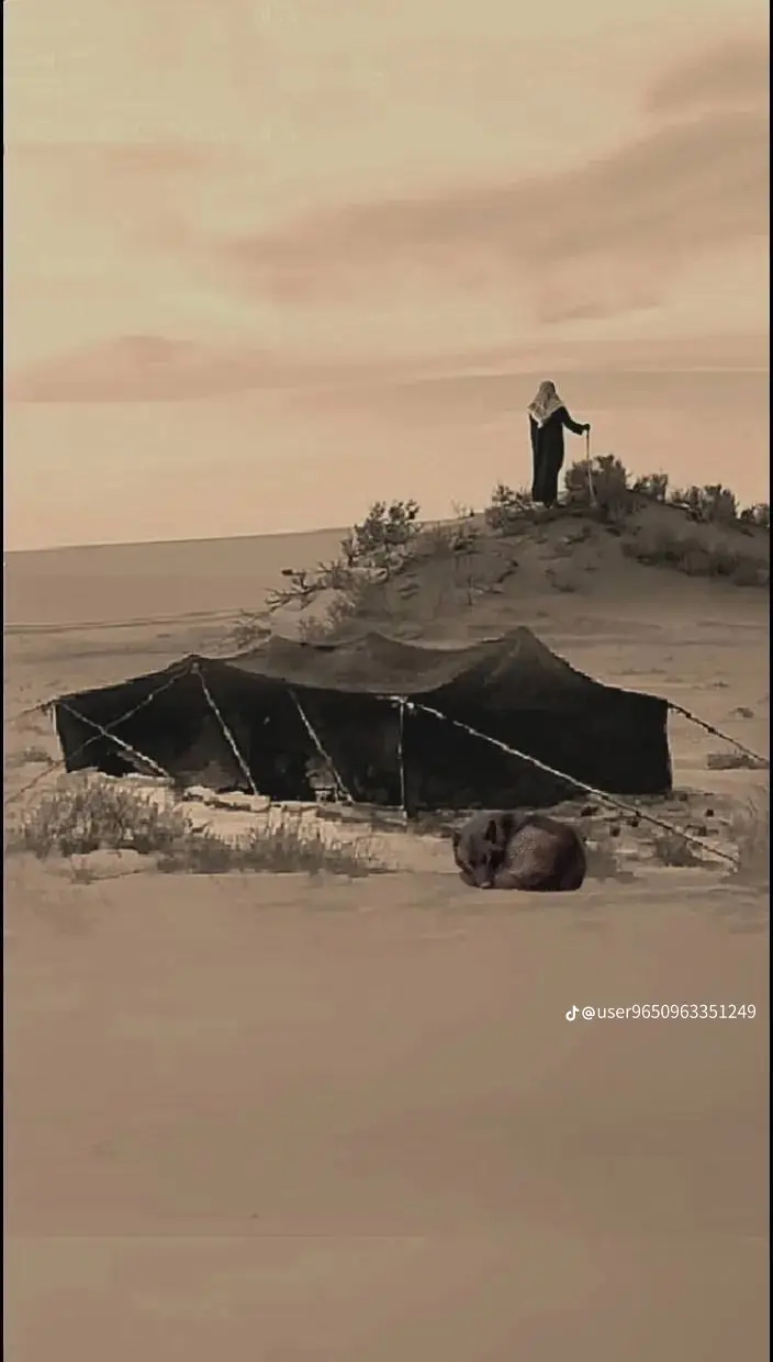 #مالي_خلق_احط_هاشتاقات #مجرد________ذووووووق🎶🎵💞 #حالات_واتس 