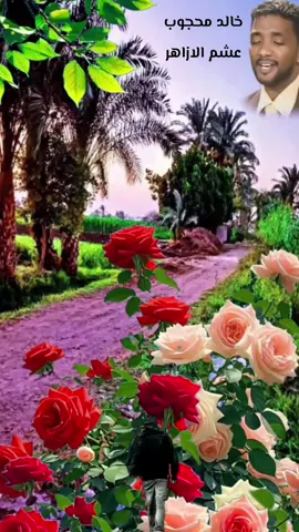 #خالد- محجوب- طمبور- عشم الازاهر  الحان- خالده  #عابر- طريق #اعادة نشر - لائك - متابعه #السعوديه- مصر -الامارات المانيا- فرنسا -استراليا  النرويج- كنده- مورتانيا- ليبيا السودان - جنوب السودان - قطر  الولايات المتحده الامريكيه 