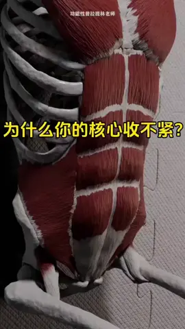 #整復 #按摩 #運動按摩 #健身 #核心 