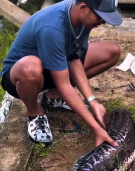 🦈❤️❤️❤️🙏🙏🙏