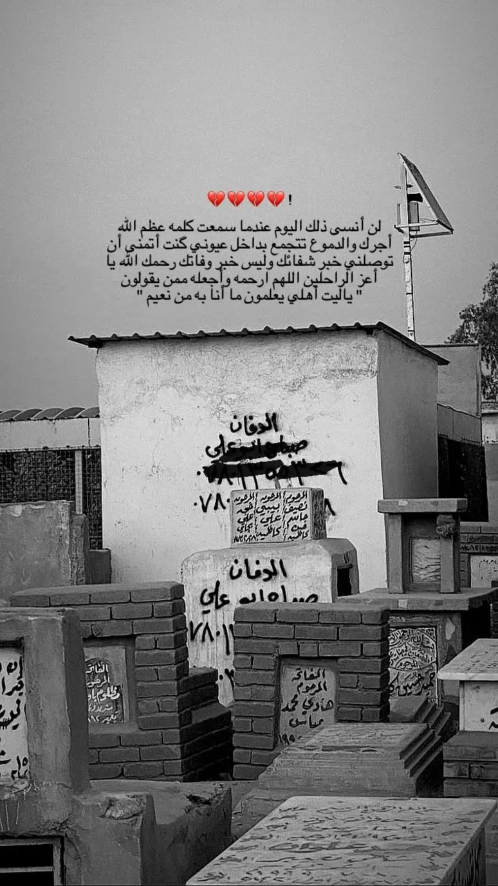 #fyp #foryou #explore #مالي_خلق_احط_هاشتاقات #اكسبلور 