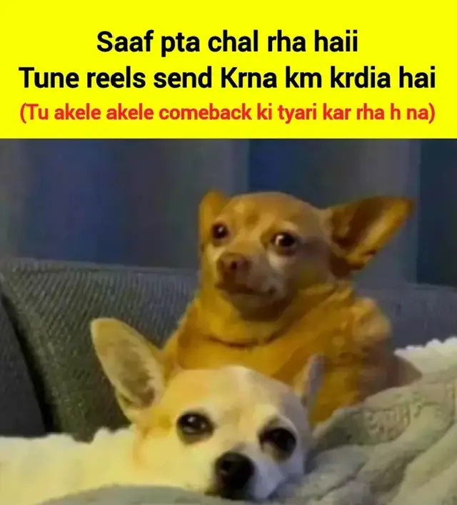 #foryou #creatorsearchinsights 