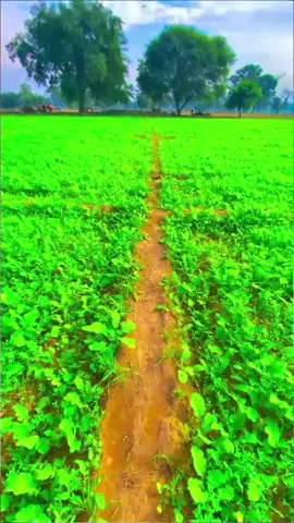 #متابعة #تفاعلوا #اكسبلور #شعراء_وذواقين_الشعر_الشعي🎸💔🥀😔 #الشعب،الصيني،ماله،حل،😂😂 