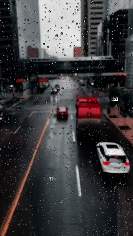 أحيانًا… تكتشف أن السلام ليس في البعد عن الناس #اقتباسات📝 #عبارات #الحياة #خواطر #حكم 