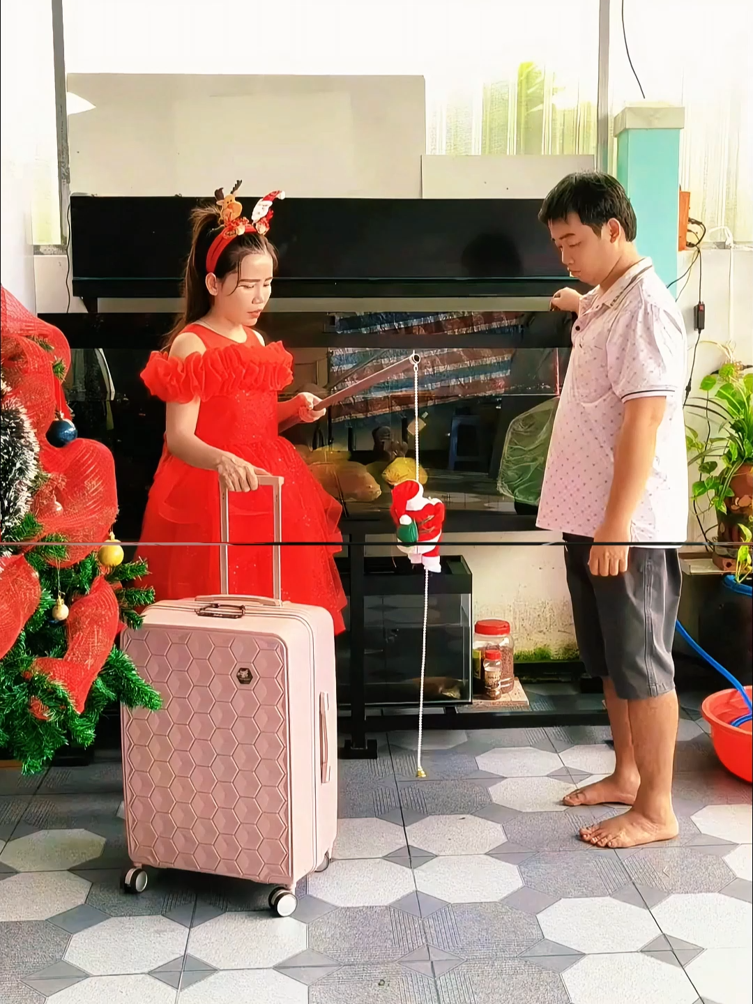 #cobahola #giadinhvuive #chuyenvuimoingay