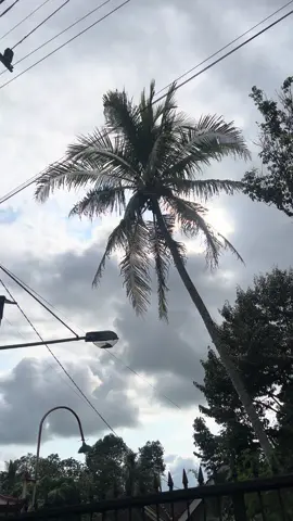 Disewakan bolo 150kva dan 80kva🔥🤩#jhonaudioblitar #fyp #promomakangajian 