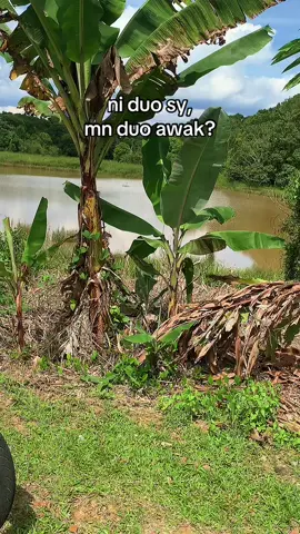 tunjuk kit gamba#125zr #y100sport #duo #4u #fypシ゚ 