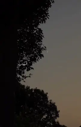 کوئی تعلق ہے گہرا جو ختم نہیں ہوتا ہم نے دیکھا ہے کئی بار ان سے کنارہ کر کے🥀✨#anayawrites #اُردوpoetry #fybシviral #repost 