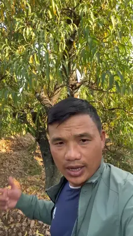 Ae tham khảo #cốgắngtừngngày #gãtáđiền #đàotết2026 