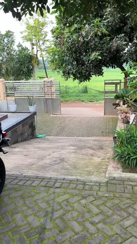 penampakan peredam merah maron 😍  GARASI KING PANDA  Ready unit Rx King Alamat Desa Rajegwesi Rt.01/03 Kec.Pagerbarang kab.Tegal Whatsapp 085870342099 Maps . Garasi King Panda   #rxking  #fypageシ #rxking135cc  #rxkingtegal  #fyp 