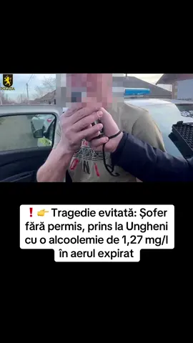 #sofer #ungheni #sofer #politie #alcool 