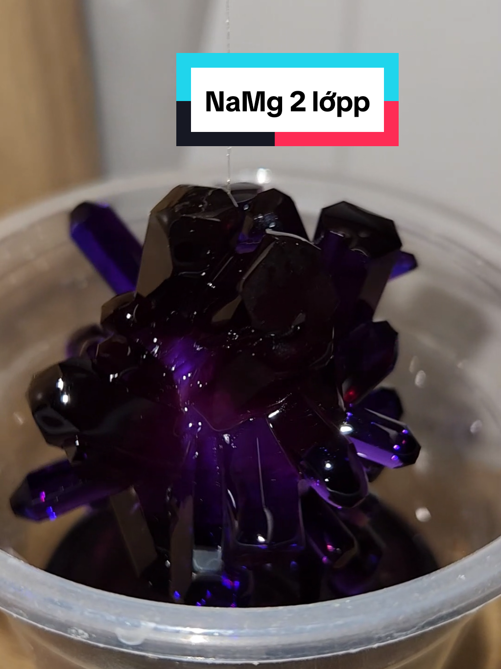 Làm NaMg 2 lớp #nuoitinhthe #phucbui 