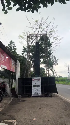 Kembali ke habitat semula🤪