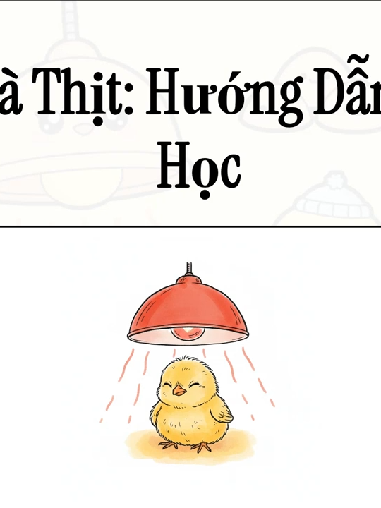 Sai Lầm LỚN NHẤT Khi Úm Gà (90% Người Mới Mắc Phải!)  #kythuatgiong #umgacon #kythuatnuoiga #nuoigathit #channuoi #trangtrai #gacon #learnontiktok #xuhuong