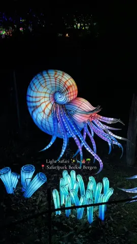 Magisch mooi ✨ #lightsafari #beeksebergen 