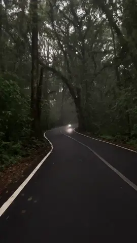 take me home 🍃 #fyp #hutancangar #tenang 