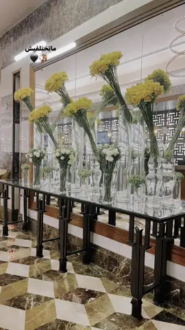 #fyyyyyyyyyyyyyyyy #تامر_عاشور #fyp #موف_اون #pov 