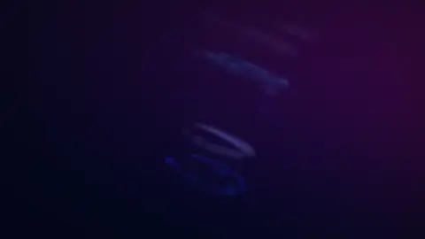 cho xin 1tim ạ cảm ơn nhiều#xuhuong#nhachaymoingay  #nhacxuhuong 