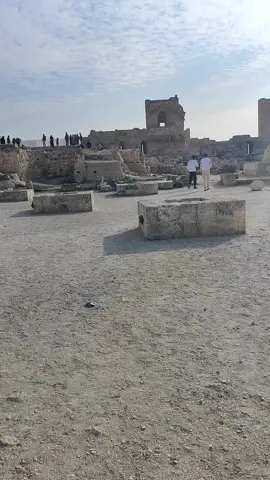 #قلعه حلب من الداخل