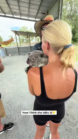 maggie is the calmest sweetheart ever 🐨 #bredlfarms #australia 