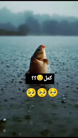 #بصره_بغداد_ميسان_ذي_قار_كل_المحافظات #فولو🙏🏻لايك❤️اكسبلور🙏🏻🌹💫 