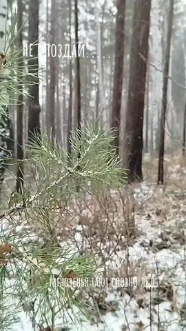 #ДобрыйДень#☀️❄️❄️☀️ #любите❤️#говоритедругдругуосвоей любви❤️#