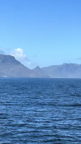 Posisi di#afrikaselatan🇿🇦 #fyppppppppppppppppppppppp #pelautindonesia #kapaltaiwan🇹🇼 