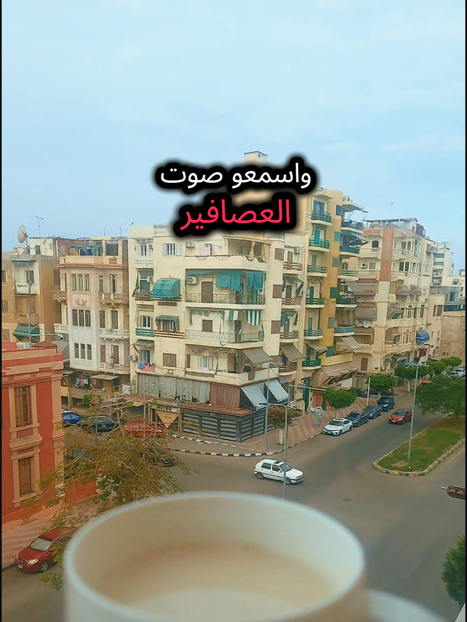 صباح الخير #صباح_الخير #تفائل #your_coffee #fypシ゚viral #كوميدي 