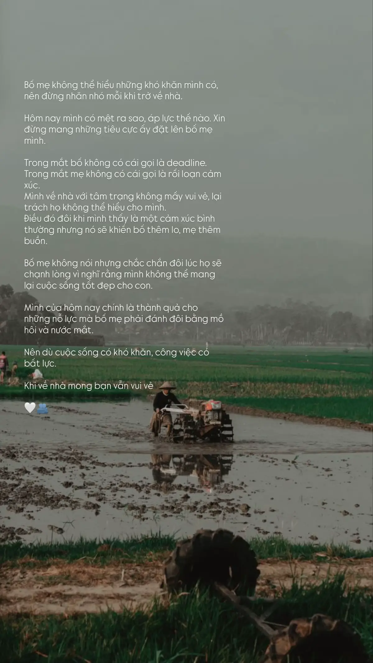 #giadinh #viral #fyp 