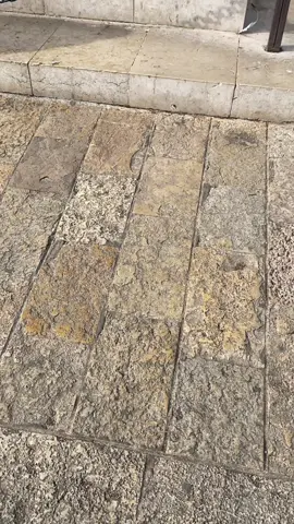 #viralvideo #viraltiktok #tiktok #tiktok #videoviral 