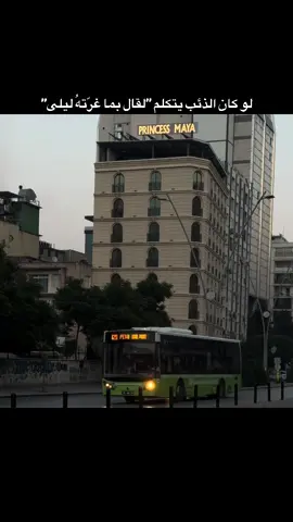 لو كان الذئب يتكلم 