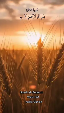 #مثل_الذين_ينفقون_اموالهم_في_سبيل_الله #سورة_البقرة#قرأن_كريم_راحة_نفسية #عبد_الباسط_عبد_الصمد #qurantranslation 