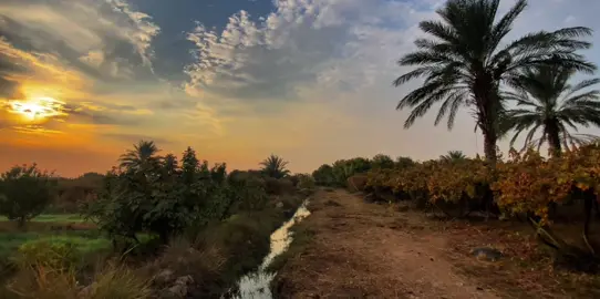 اشكر كل من رفض هوانا #اغاني_مسرعه🎧🖤#اغاني_مسرعه💥 #اصاله 