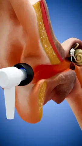 #zackdfilms #DidYouKnow #foryou 