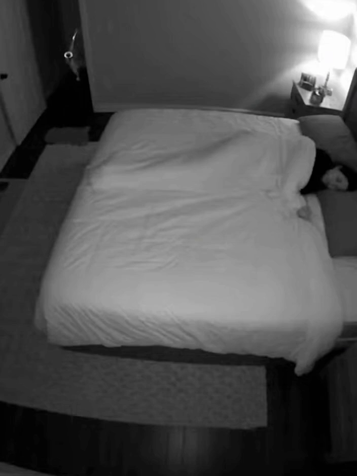 CAUGHT ON CAMERA: Cat Playing Saxophone! (New Angle)