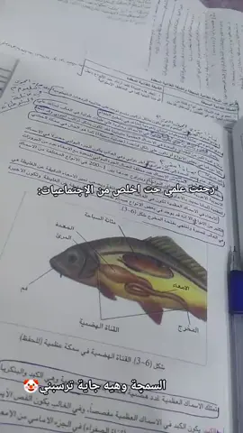 😂😂#رابع_علمي #fyppppppppppppppppppppppp #مالي_خلق_احط_هاشتاقات #الشعب_الصيني_ماله_حل😂😂 #parati 