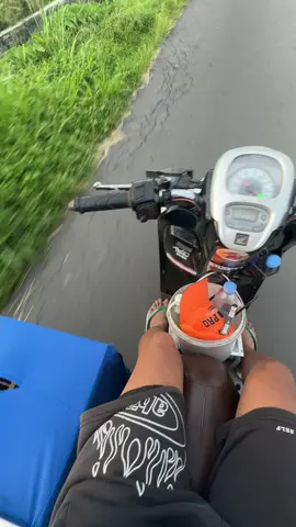 adate boloo😍#fyppppppppppppppppppppppp#merpatibalapindonesia#trending#merpatilovers#merpatisprintklaten 