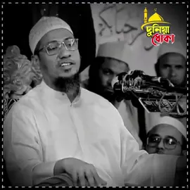 🗣️🎙️◉◉◉◉◉◉🌺࿐✿💠— অনেক ছেলে আছে আমাকে বলে...!!!🌸👳🌿 #আনিসুর_রহমান_আশরাফী💖💖 #ইসলামিক_ভিডিও_🤲🕋🤲 #islamic_video #vairalvideo #tiktokbangladesh🇧🇩 