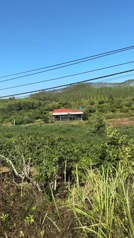 Nhà ai kia quen quá à  @Điệp Còi 