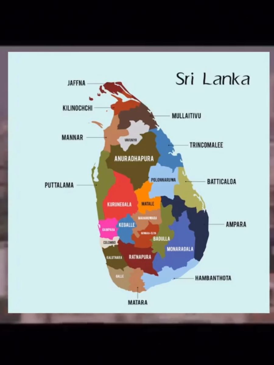 srilankans this time 😂💯 #my #for #follwe #fyyyyyy #viral 