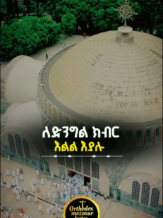 #ፅዮንማርያም #ሕዳር_ፅዮን21 #ኦረቶዶክስ_ተዋህዶ_ፀንታ_ለዘለአለም_ትኑር #ኢትዮጵያ_ለዘለዓለም_ትኑር🇪🇹🇪🇹🇪🇹 #habeshatiktok 