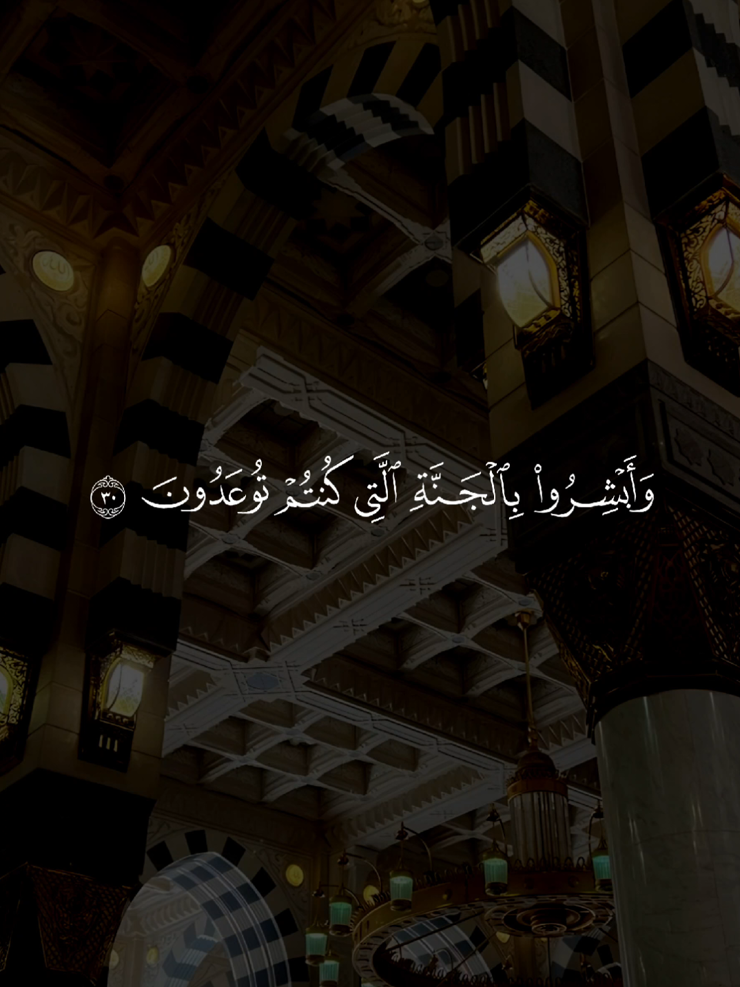 وَأَبشِروا بِالجَنَّةِ الَّتي كُنتُم توعَدونَ﴾ [Fuṣṣilat: 30] #ماهرالمعيقلي #قران_كريم   