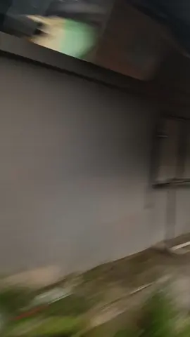 apo ade dibali#kuluk #balinese #bali  #fyppageforyoupage 