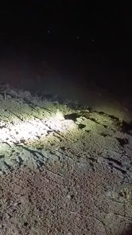 سوێسکە نێر ترسی نیە 😂#ماشاءاللە_تبارک_اللە #لایک #ڕاوچیەکانیەهەڵەبجە #ئەکتیڤبن🥀🖤ـہہـ٨ــہ #fyp 