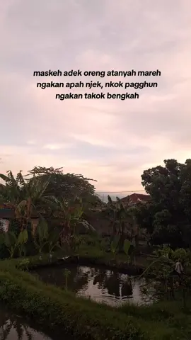 #katakatamadura #storymadura #madurastory #storywhatsapp #madura 