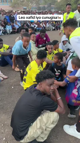 Ninka Waa lacib qaran xulka uu bahan🐐#camerdawareegto🇰🇪 #views #kenyantiktok🇰🇪 